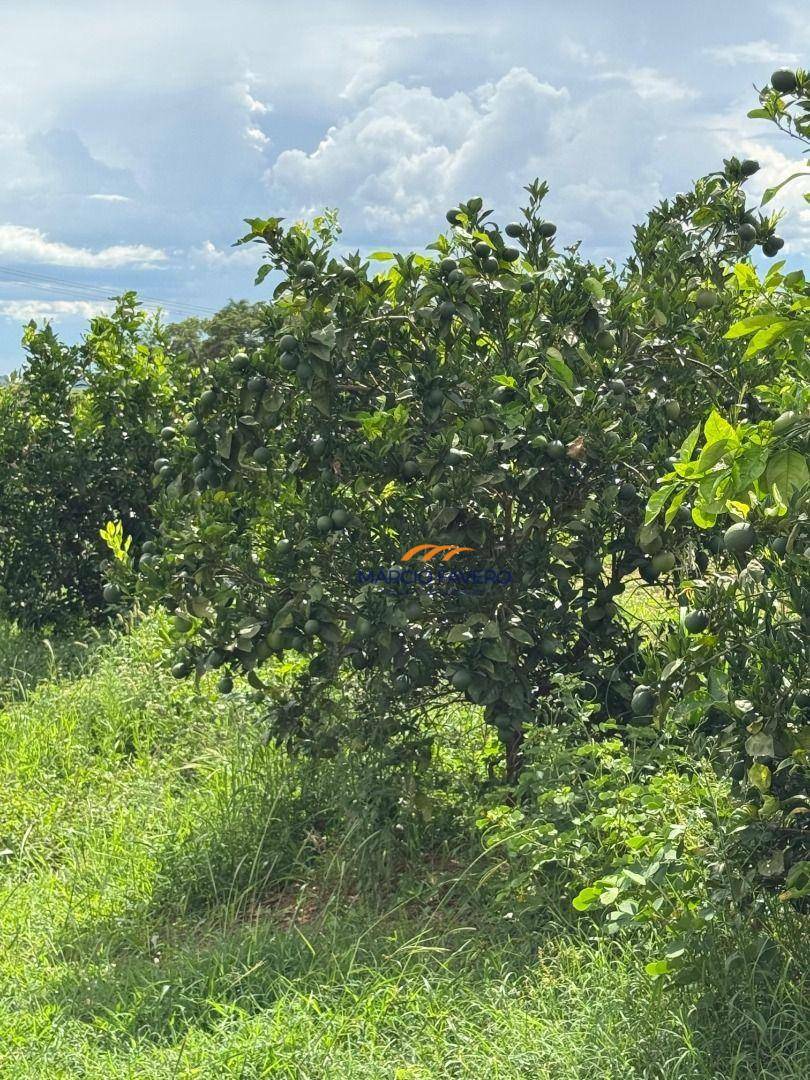 Fazenda à venda, 9776800M2 - Foto 2