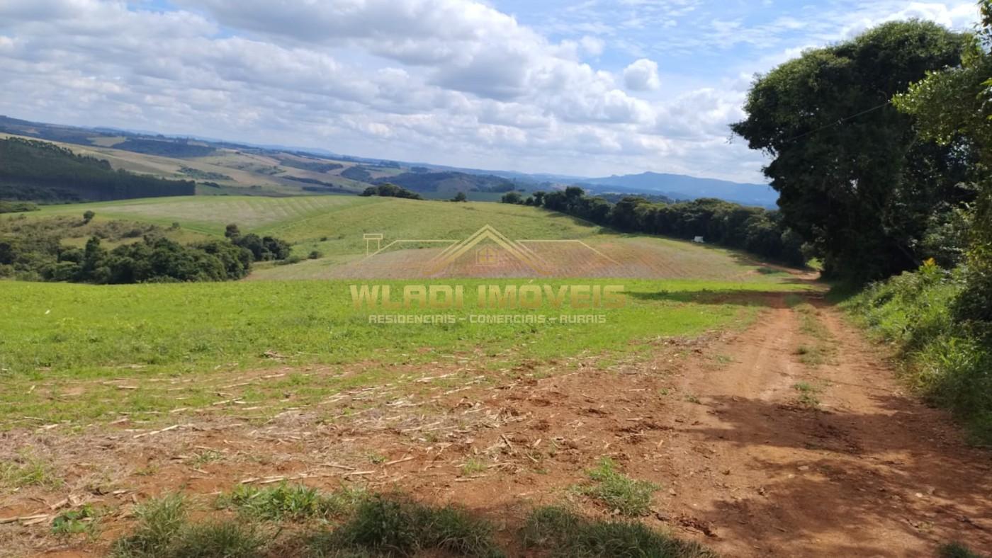 Fazenda à venda, 160m² - Foto 6