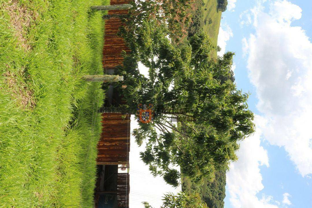 Sítio à venda com 19 quartos, 1859m² - Foto 229