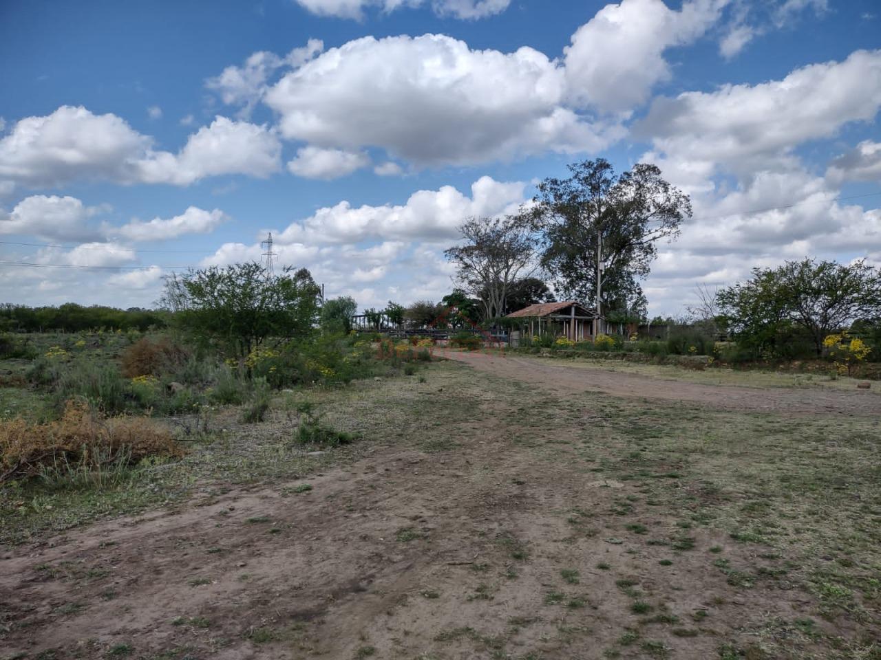 Fazenda-Sítio-Chácara - Foto 19