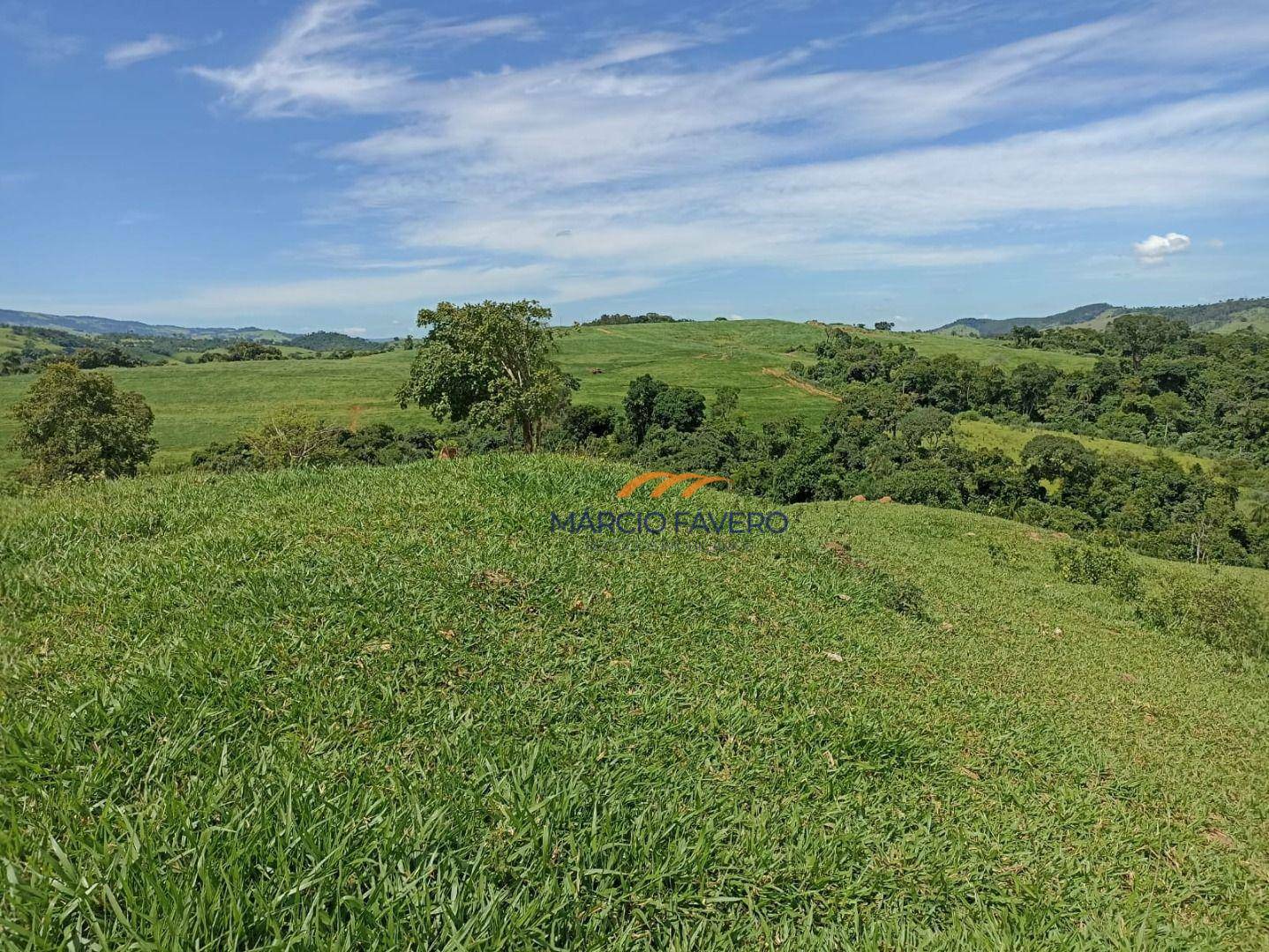 Fazenda à venda, 2904000M2 - Foto 11