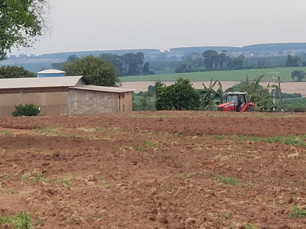 Fazenda, 53 hectares - Foto 6