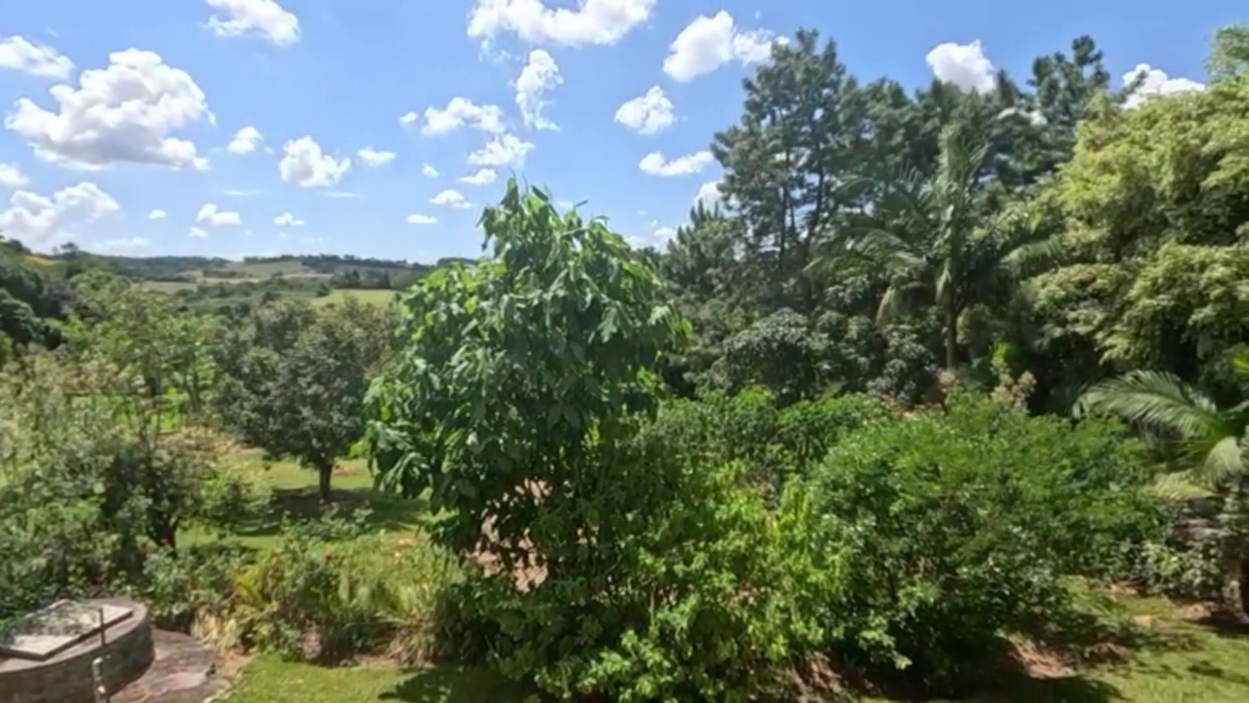 Chácara à venda com 4 quartos, 6100m² - Foto 12