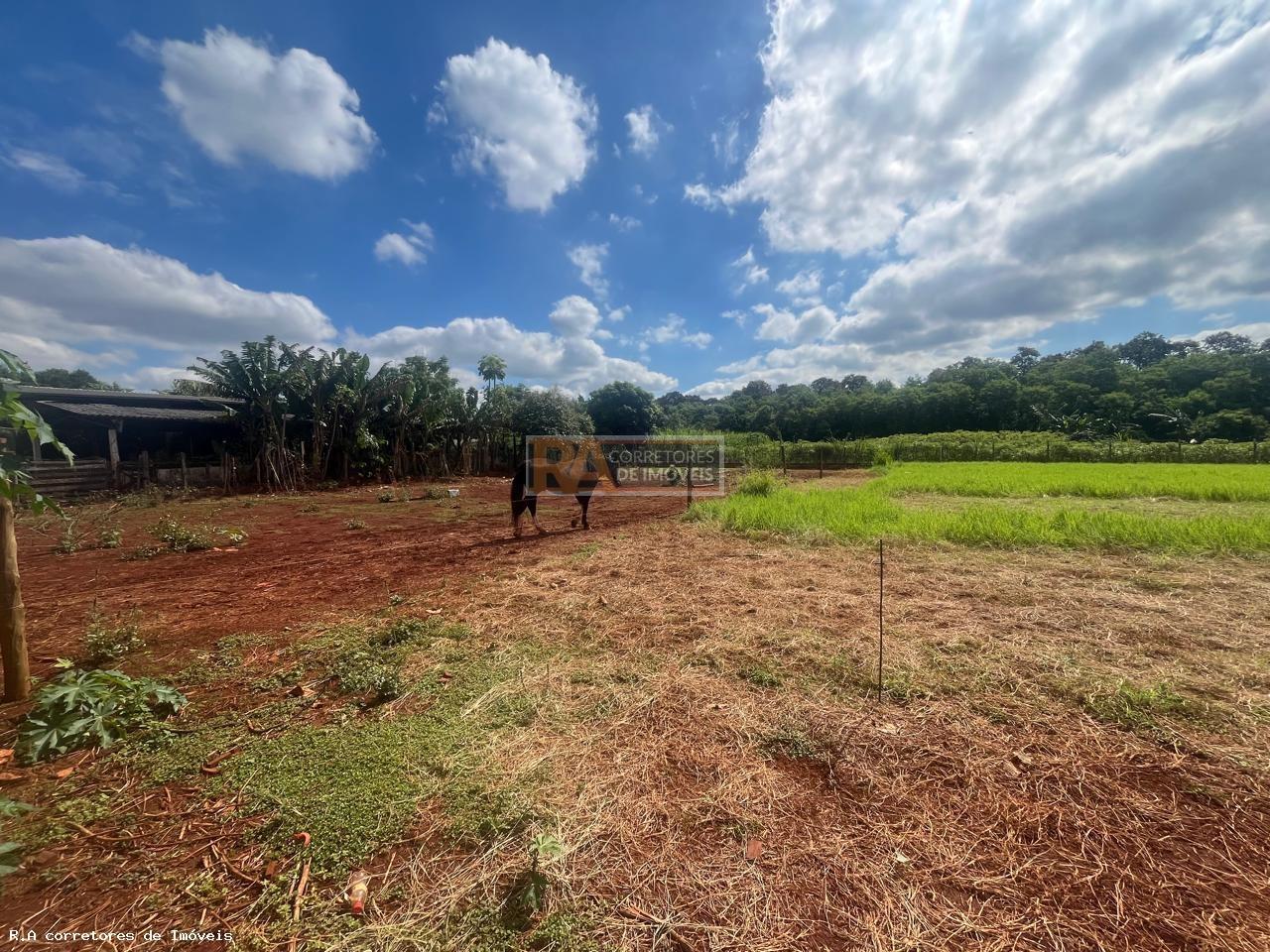 Chácara à venda, 5200m² - Foto 4