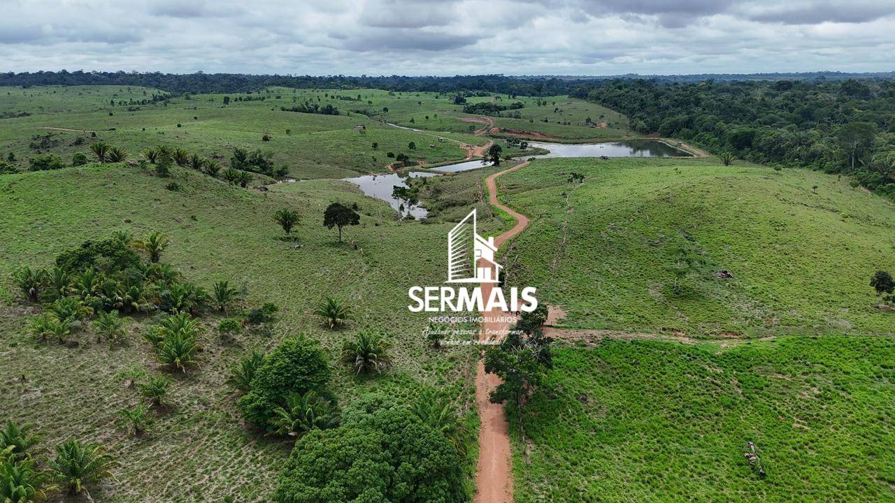 Fazenda, 2300 hectares - Foto 5