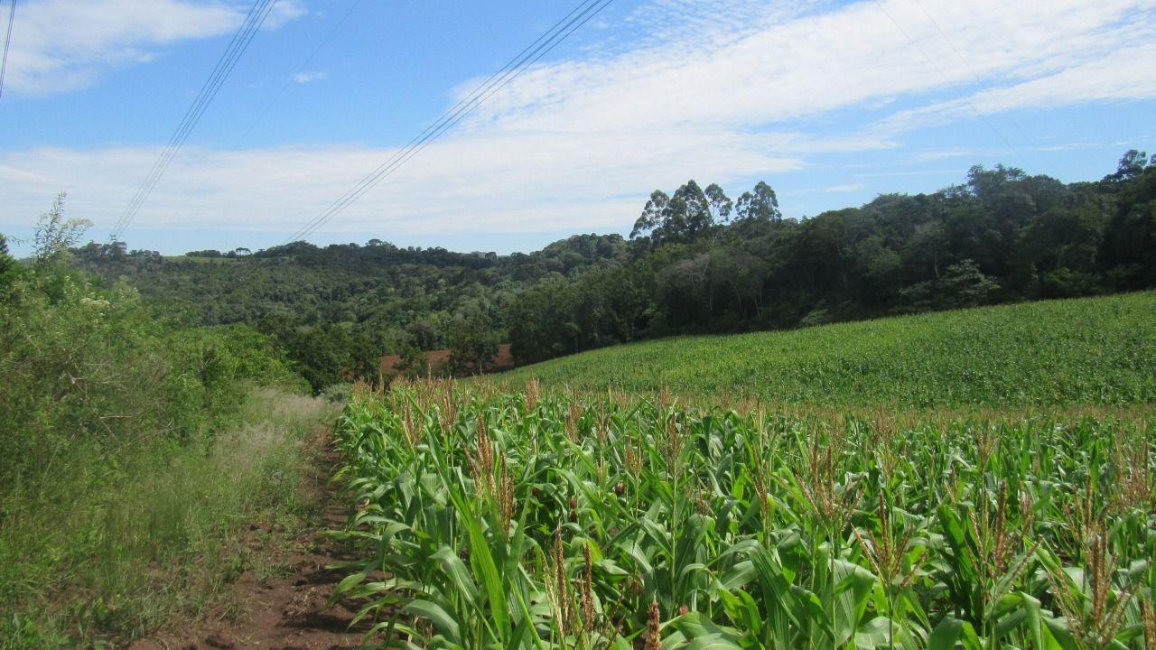 Loteamento e Condomínio à venda, 120000m² - Foto 18