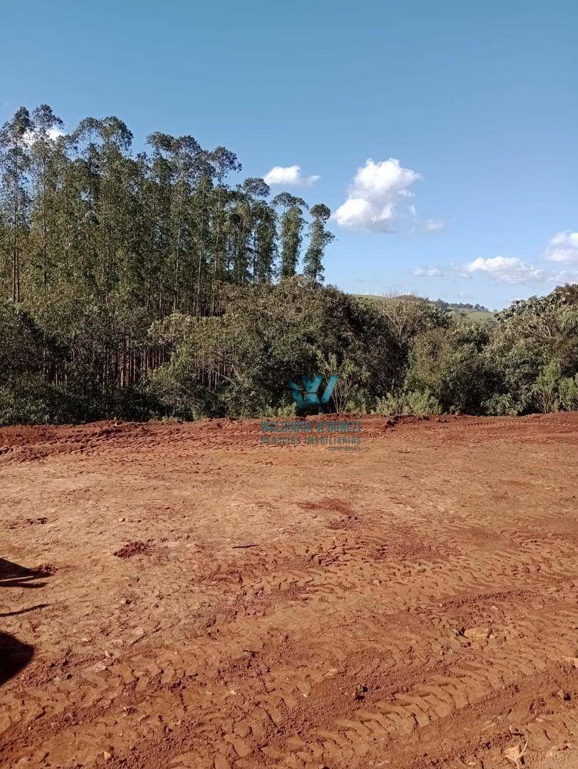 Terreno à venda, 4690M2 - Foto 10