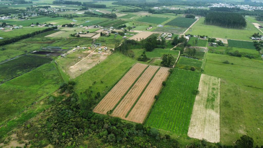 Fazenda à venda com 1 quarto, 90m² - Foto 6