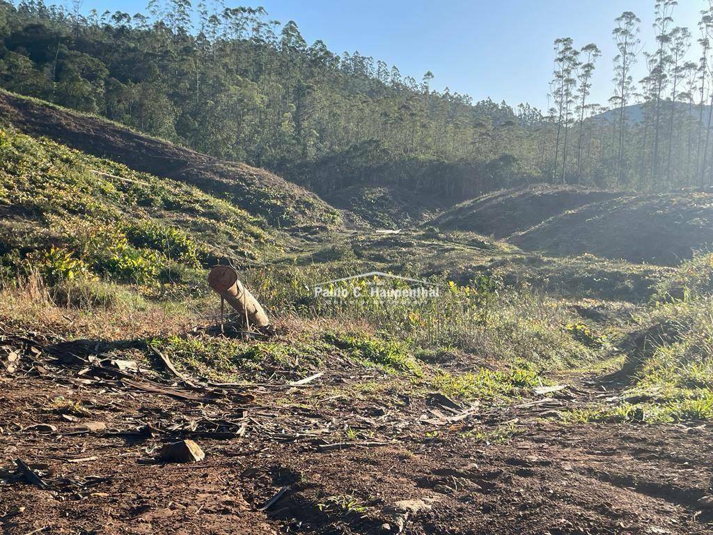 Terreno, 30 hectares - Foto 1