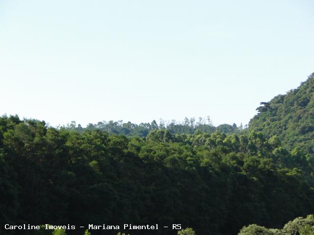 Fazenda à venda com 5 quartos, 625000m² - Foto 28