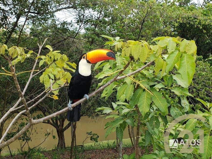 Casa de Condomínio à venda e aluguel com 4 quartos, 355m² - Foto 44