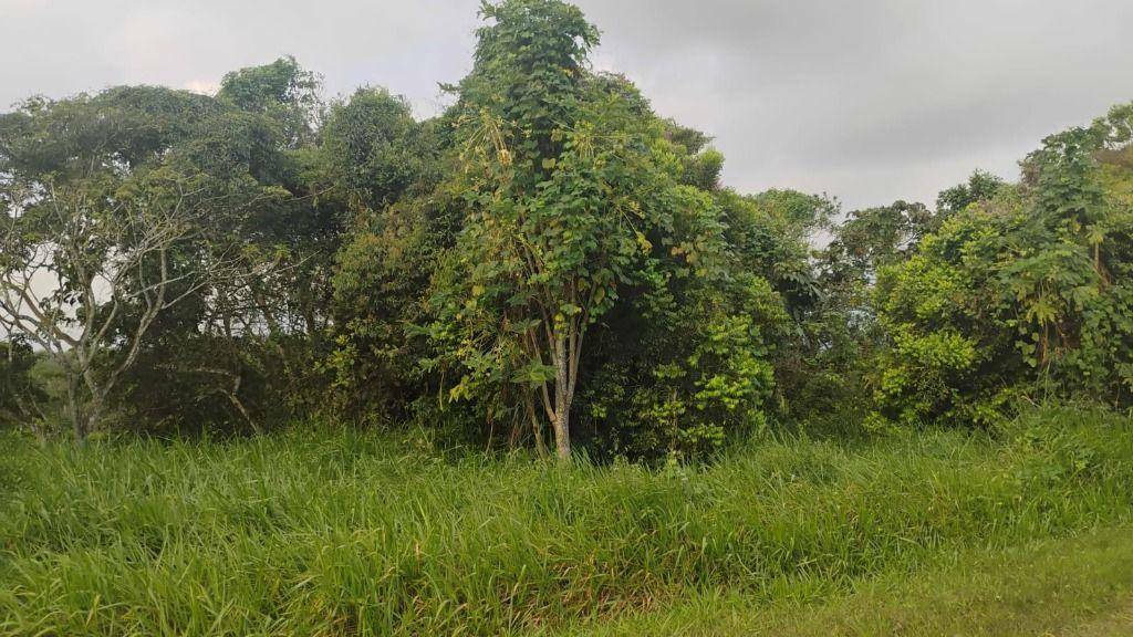 Terreno, 574 m² - Foto 11