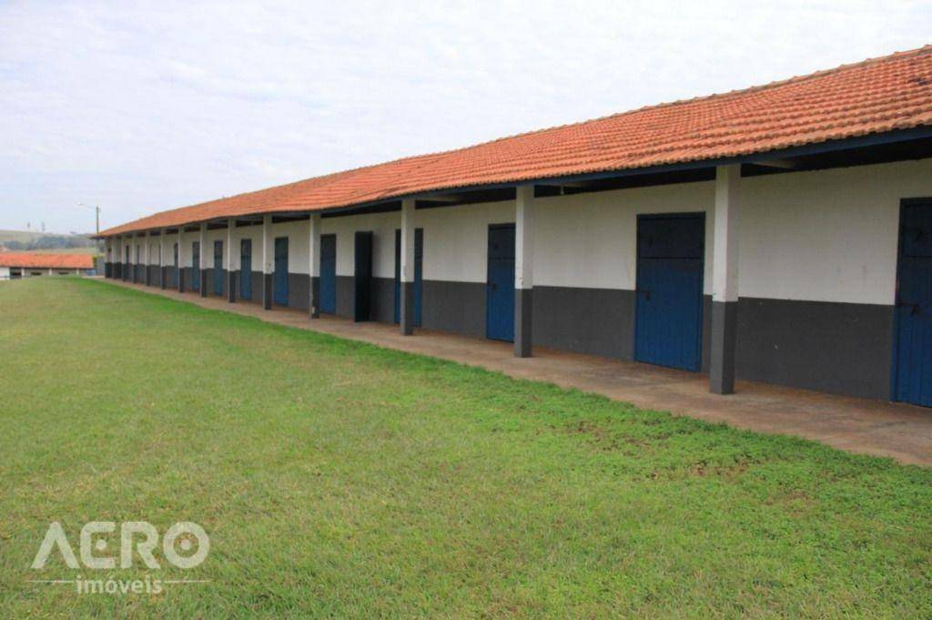 Fazenda à venda com 3 quartos, 400m² - Foto 26