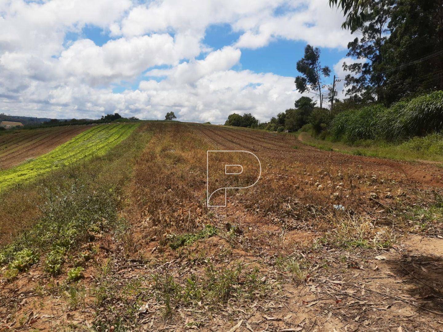 Terreno à venda, 39000M2 - Foto 29