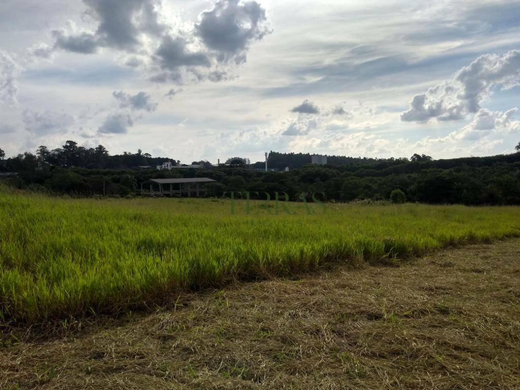 Terreno à venda, 22550M2 - Foto 5