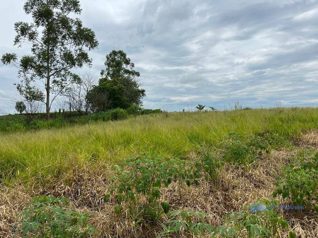 Terreno à venda, 1000M2 - Foto 5