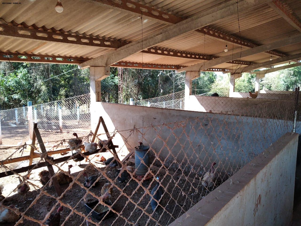 Fazenda para alugar com 3 quartos, 20000m² - Foto 5