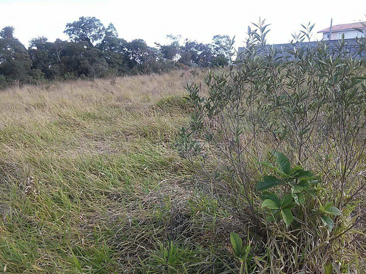 Terreno à venda, 5000M2 - Foto 4