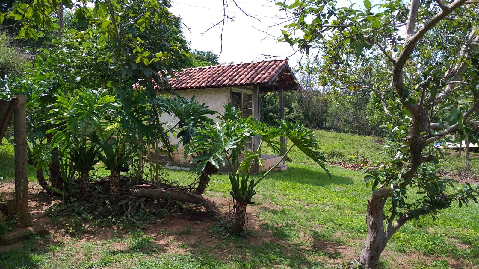 Fazenda à venda, 628000M2 - Foto 8