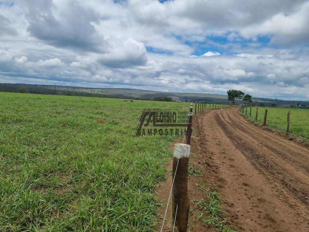 Fazenda à venda, 60984000M2 - Foto 10