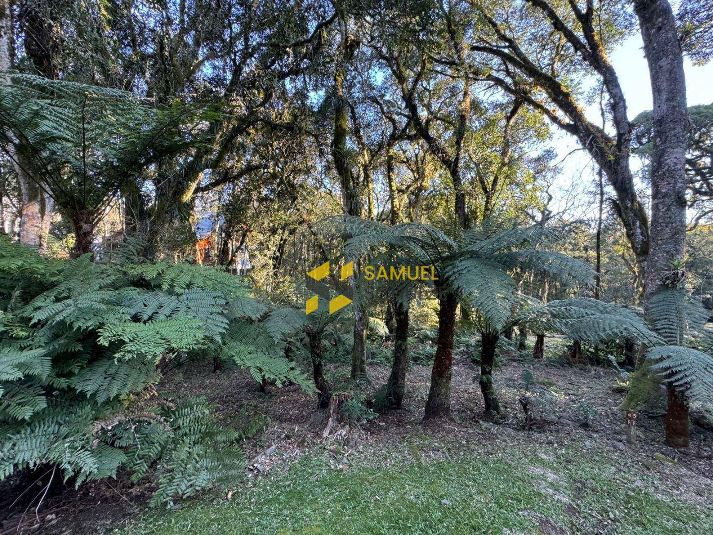 Loteamento e Condomínio à venda, 1093M2 - Foto 2