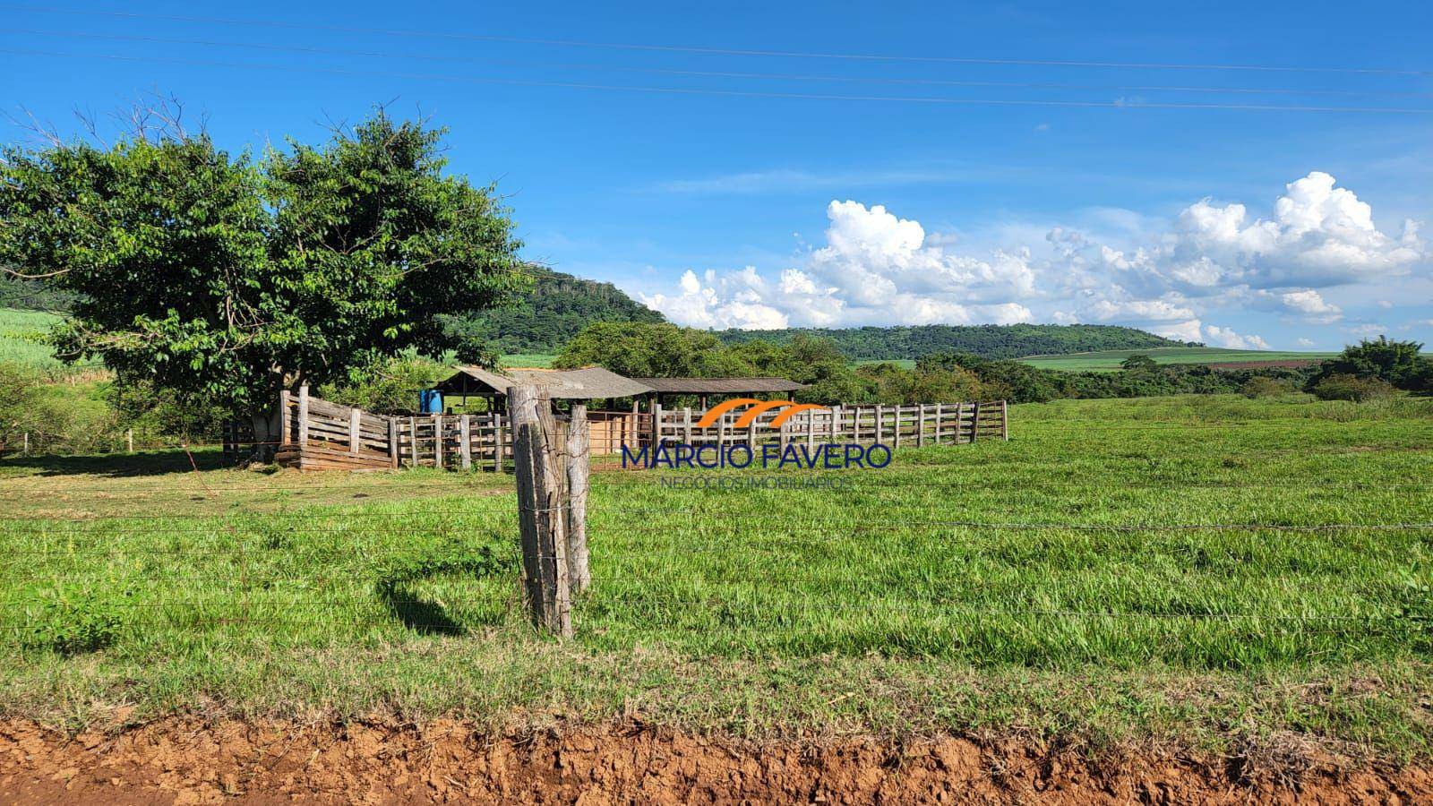 Fazenda, 140 hectares - Foto 5