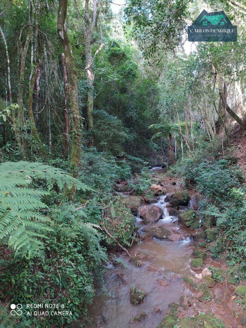 Terreno à venda, 10000M2 - Foto 11