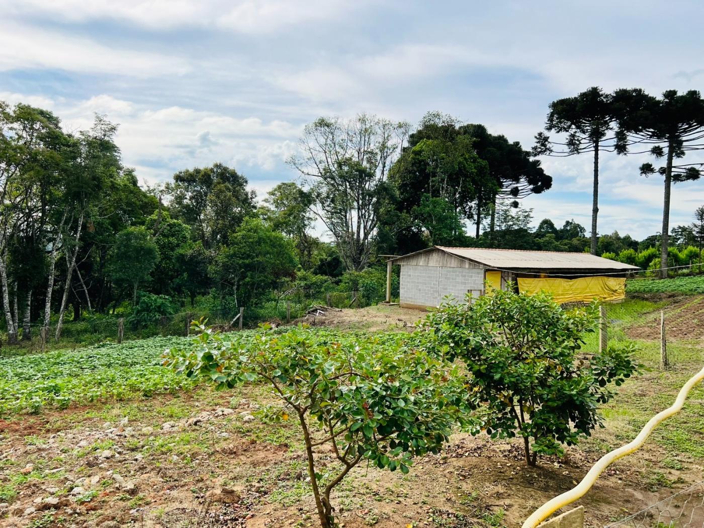 Fazenda à venda, 28000m² - Foto 62