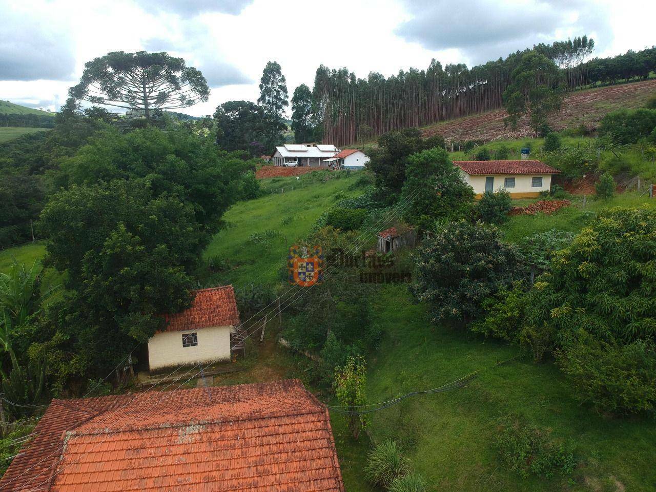 Chácara à venda com 6 quartos, 560m² - Foto 4