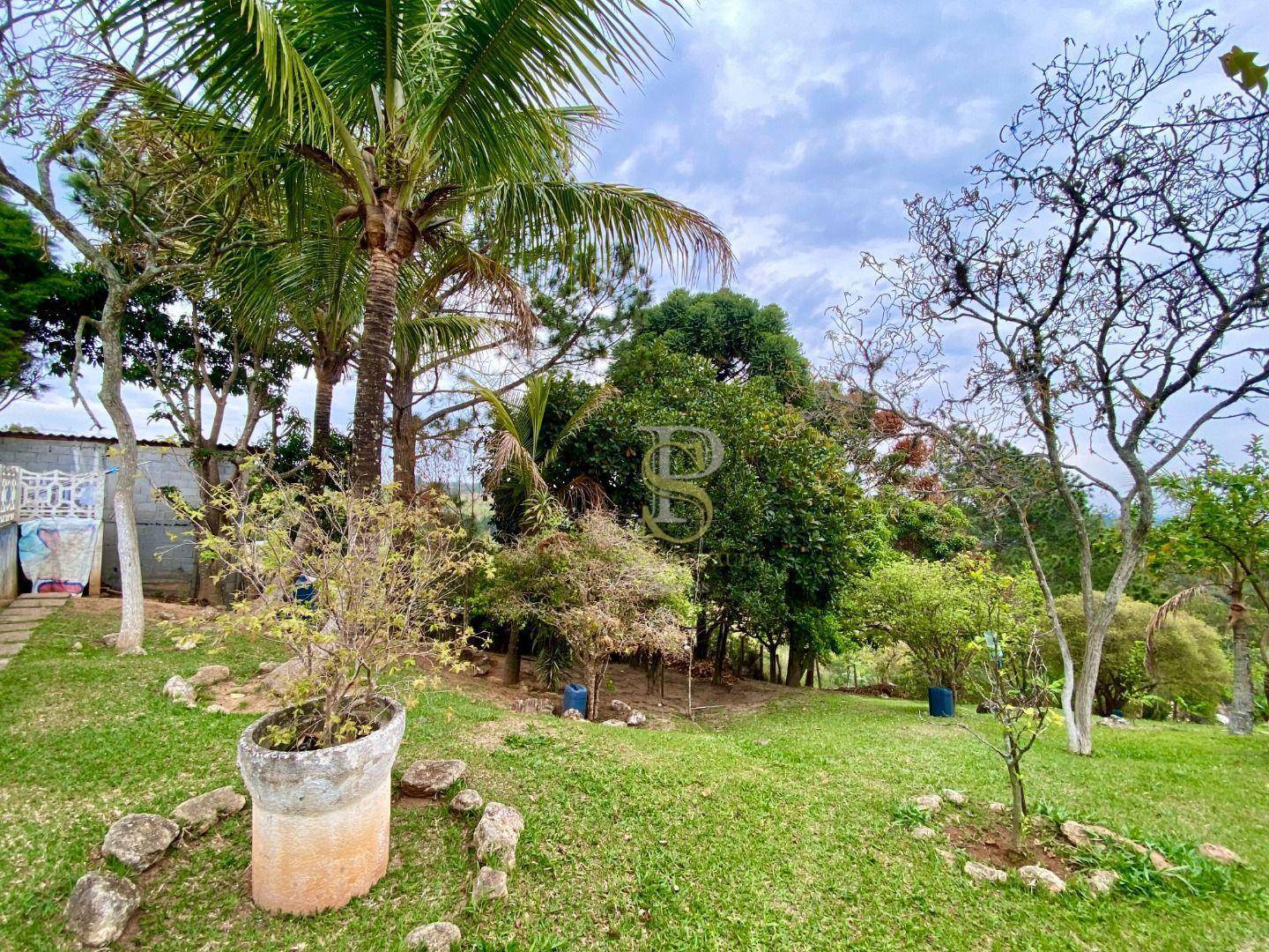 Chácara, 3 quartos, 6050 m² - Foto 21