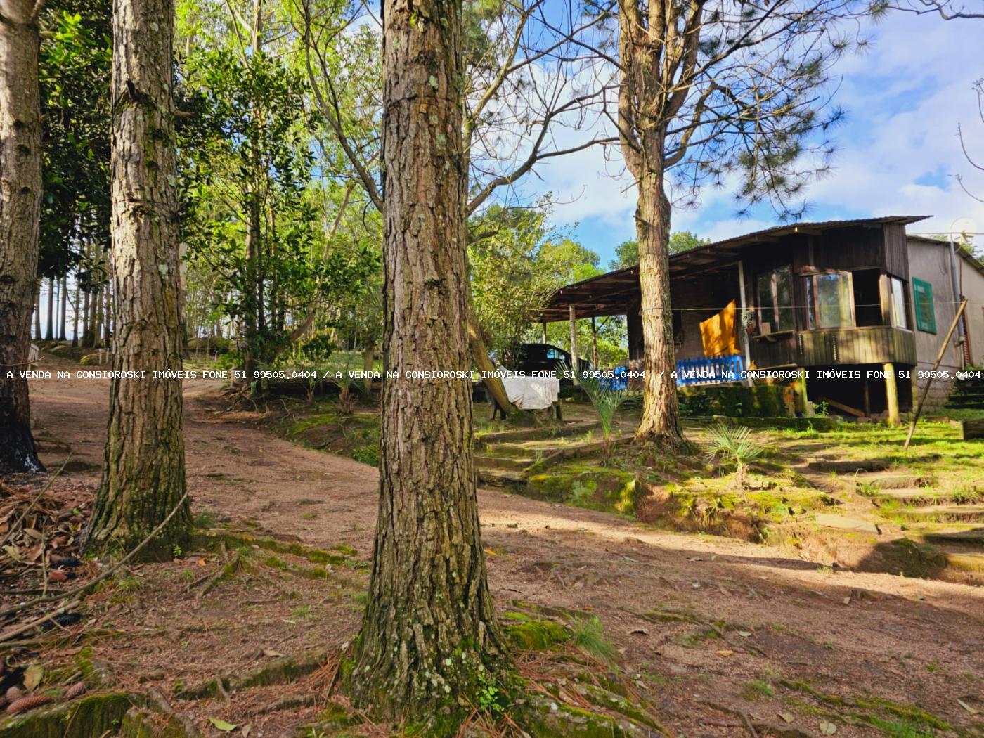 Sítio à venda, 30000m² - Foto 2
