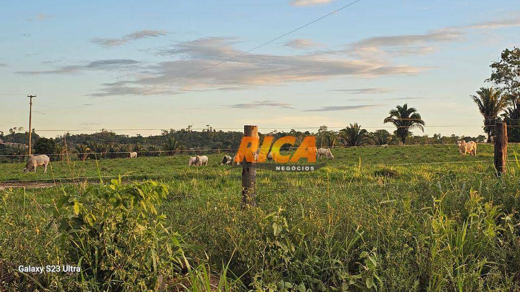 Fazenda à venda, 5000000M2 - Foto 27