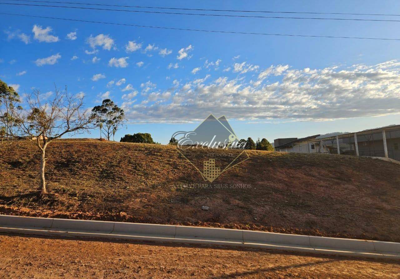 Terreno, 2000 m² - Foto 3