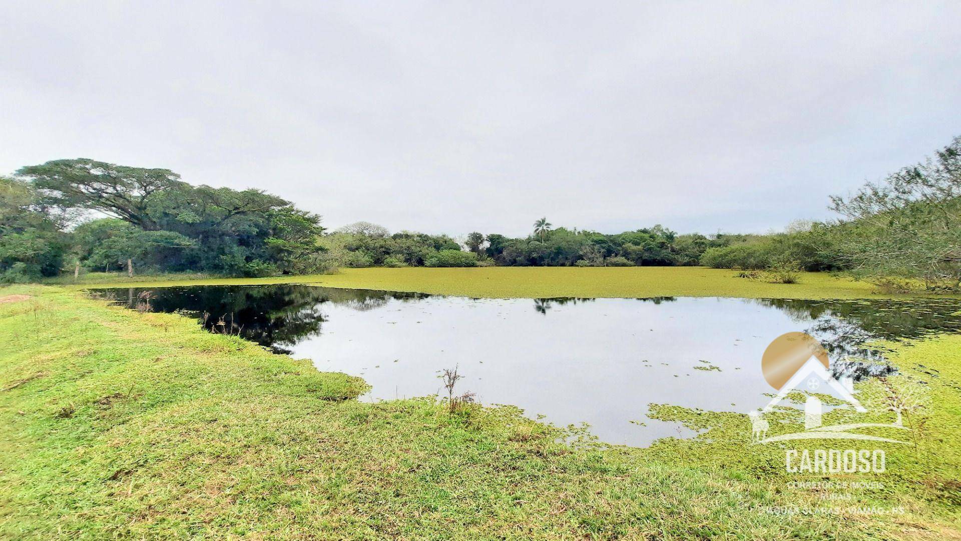 Haras e Área Rural Padrão à venda com 3 quartos, 270000M2 - Foto 1