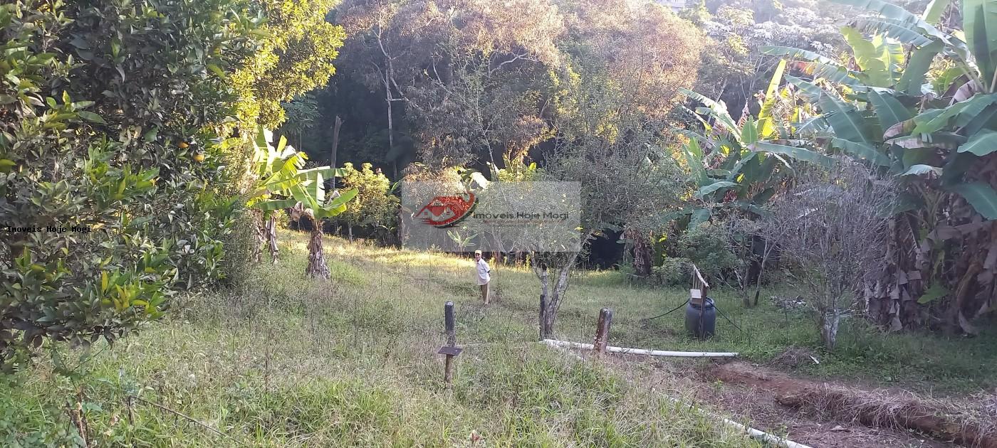 Chácara à venda com 2 quartos, 3000m² - Foto 8