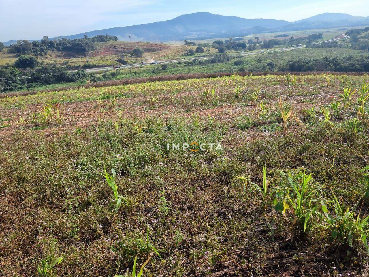 Terreno à venda, 1597200M2 - Foto 12