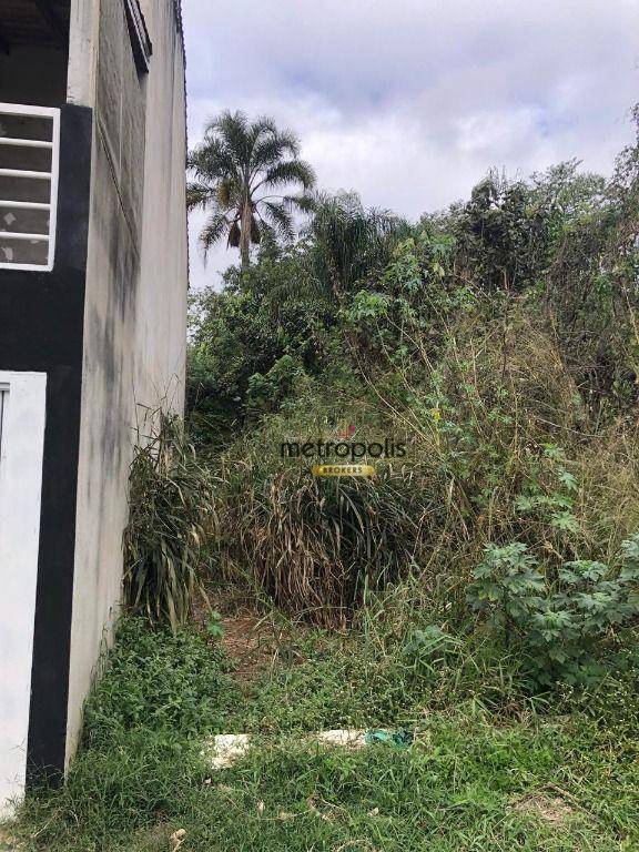 Terreno, 4 hectares - Foto 5