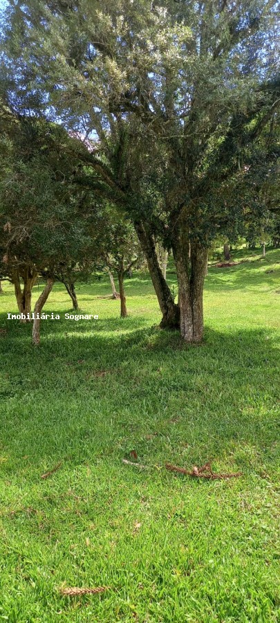 Terreno à venda - Foto 24