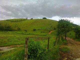 Fazenda à venda com 5 quartos, 140m² - Foto 17