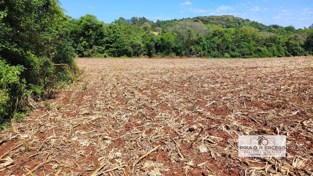 Fazenda à venda, 54000m² - Foto 12