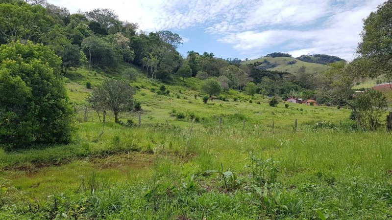 Sítio à venda com 2 quartos, 100m² - Foto 8