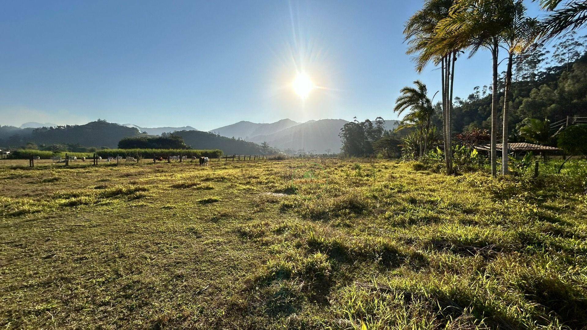 Terreno, 10000 m² - Foto 3