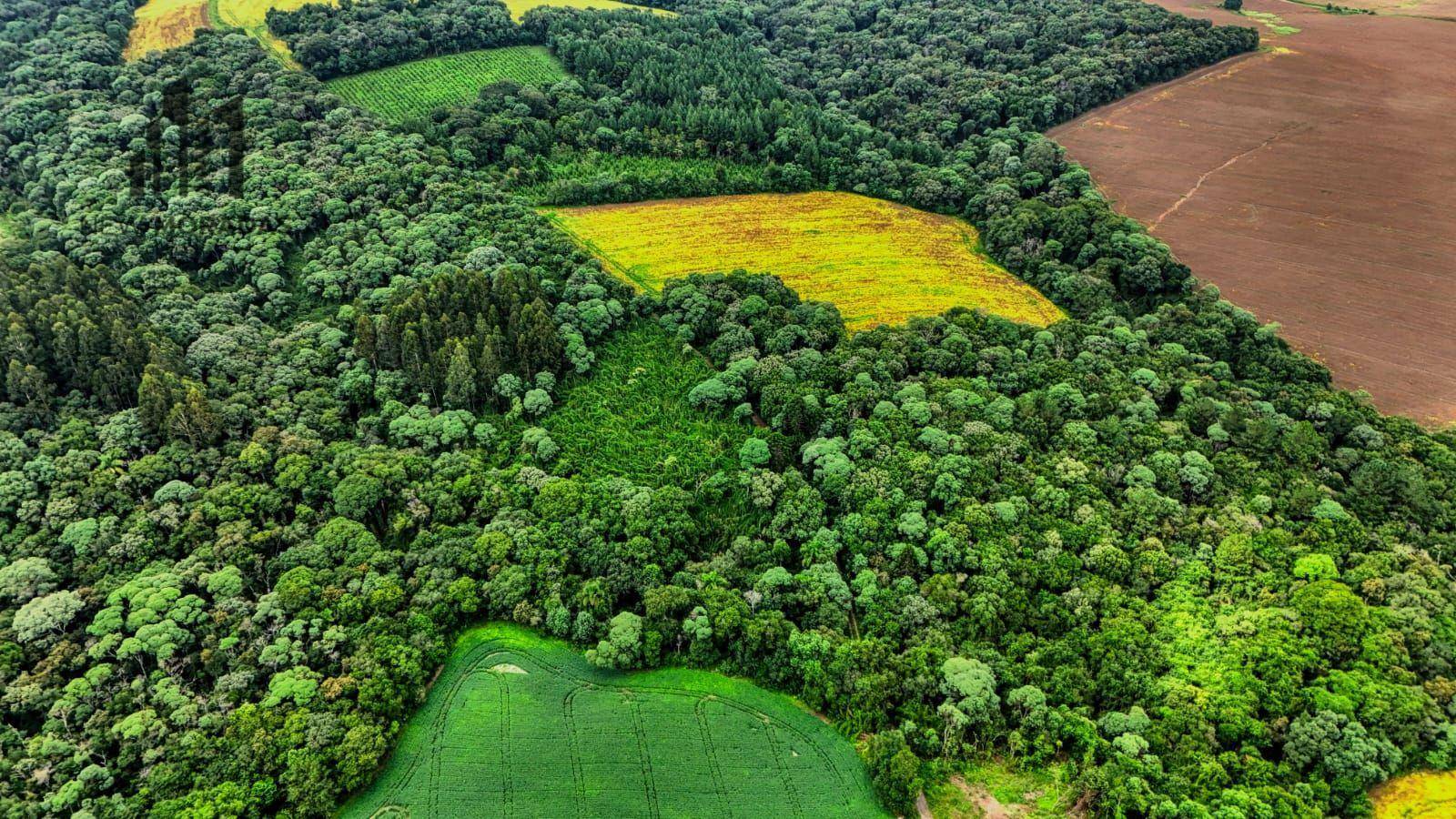 Terreno à venda, 88M2 - Foto 3