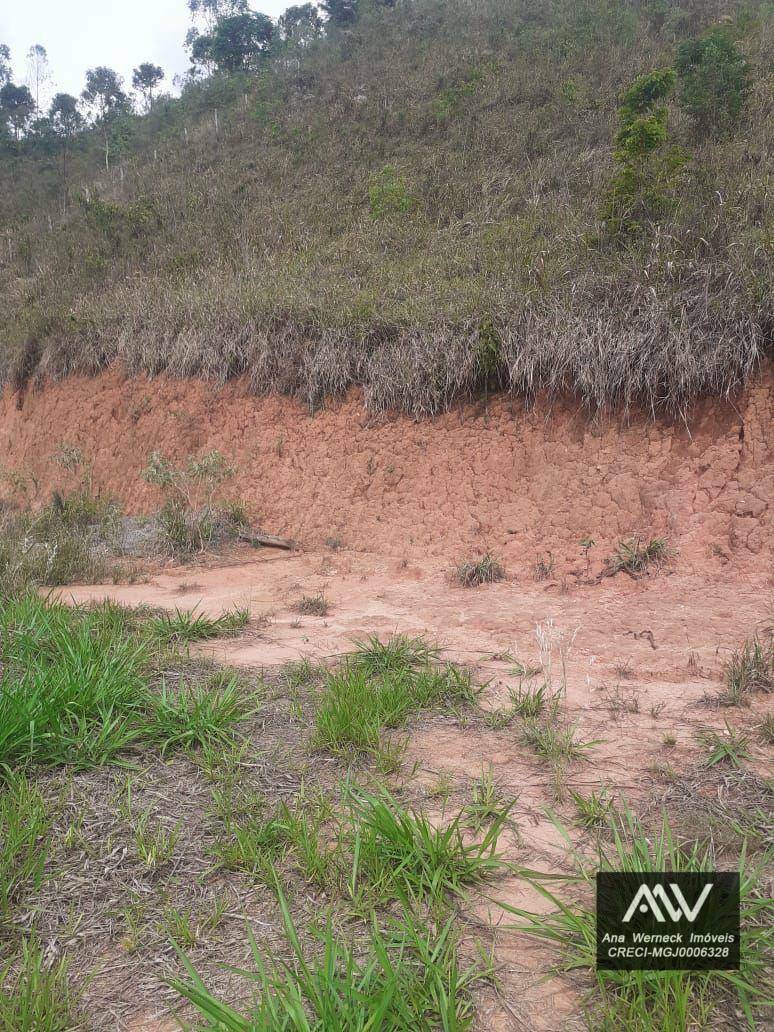 Terreno à venda, 1500M2 - Foto 5