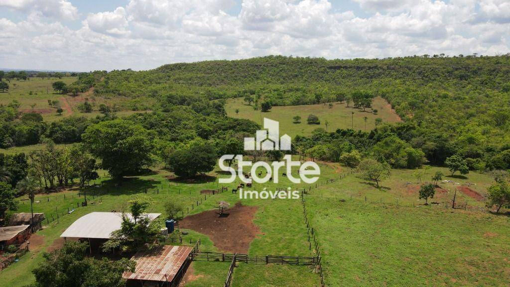 Fazenda-Sítio-Chácara, 271 hectares - Foto 4