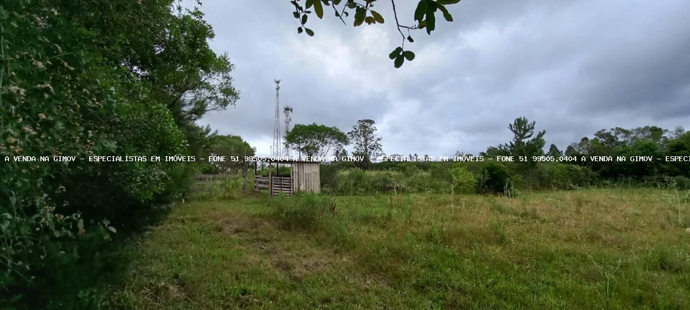 Fazenda à venda com 3 quartos, 3m² - Foto 17