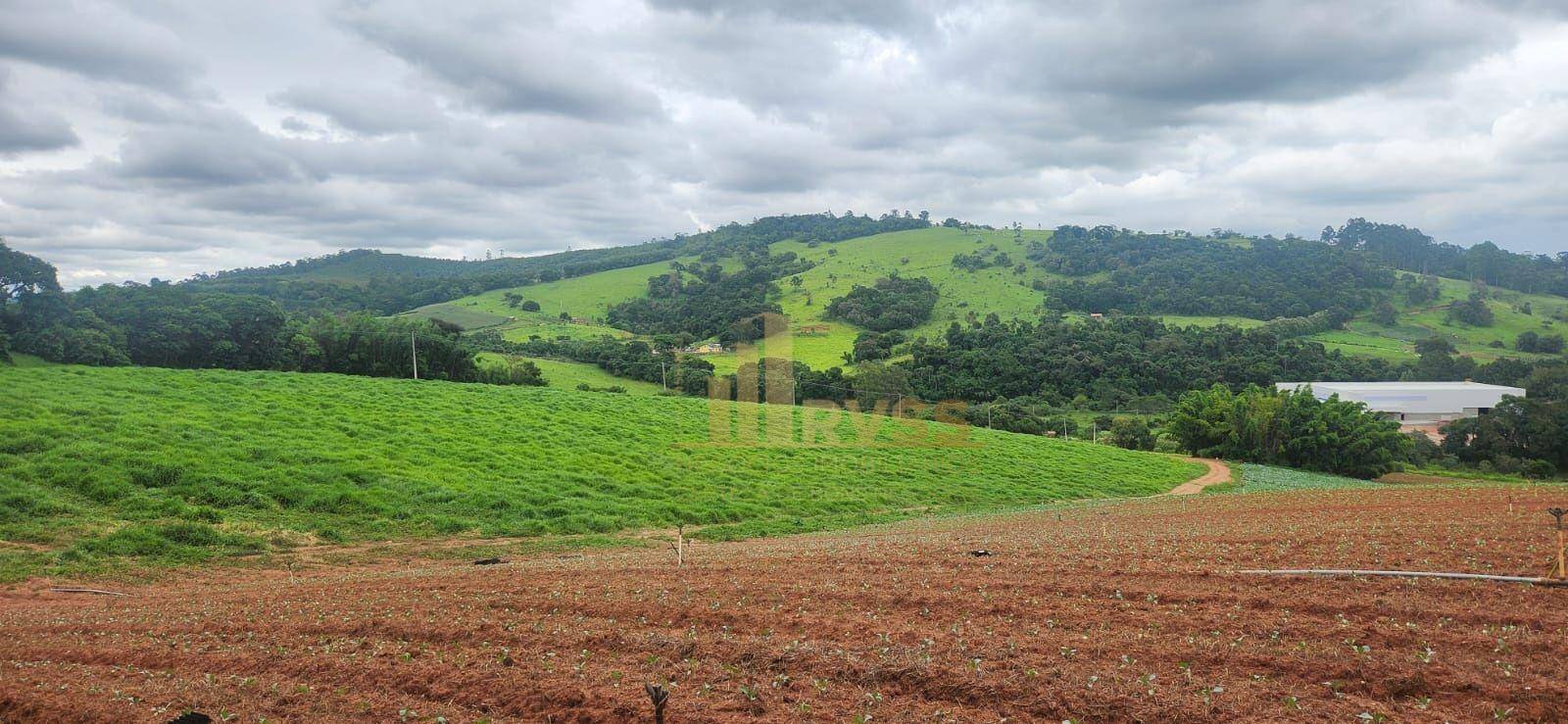 Terreno, 19 hectares - Foto 3