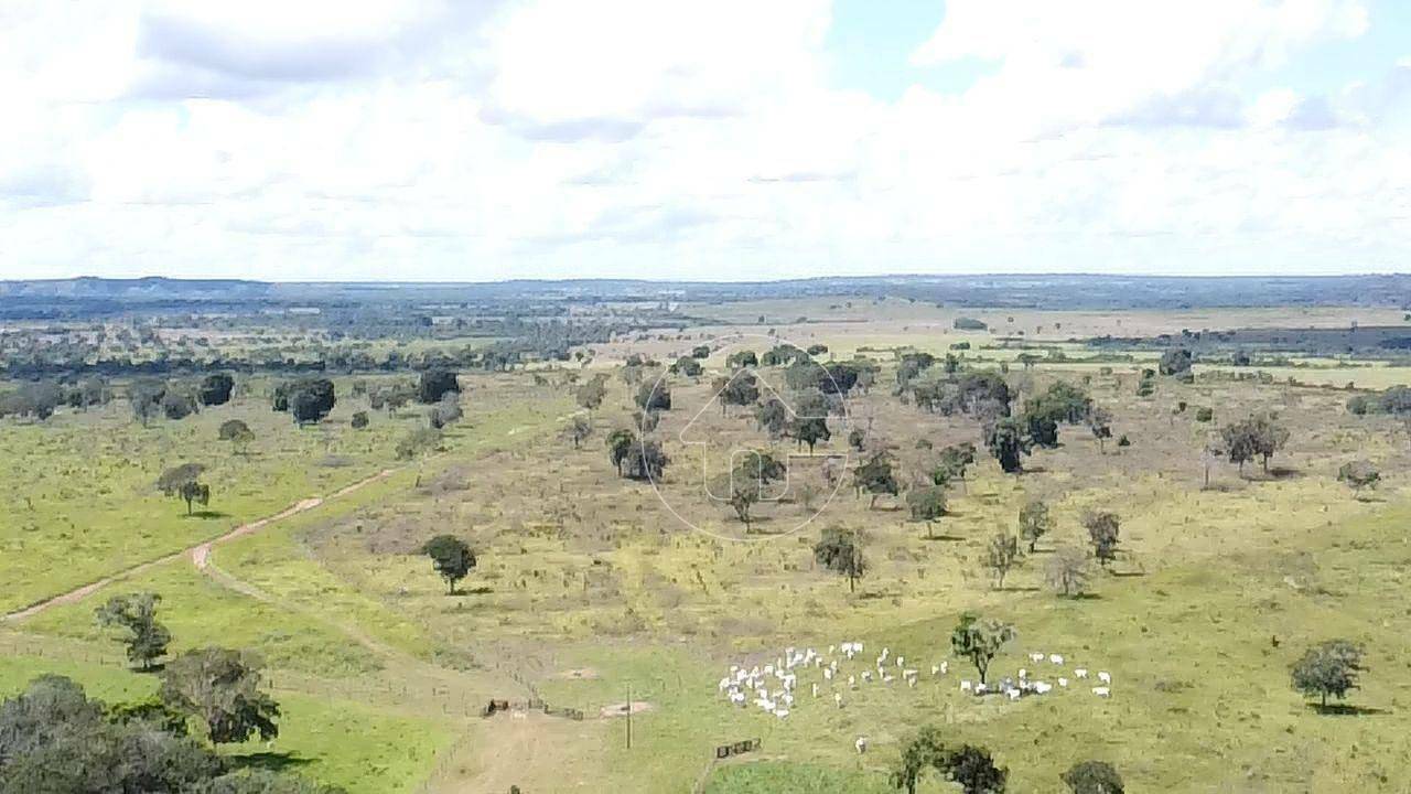 Fazenda à venda, 9970000M2 - Foto 25