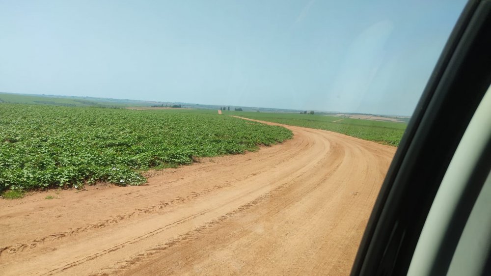 Fazenda à venda, 190m² - Foto 3