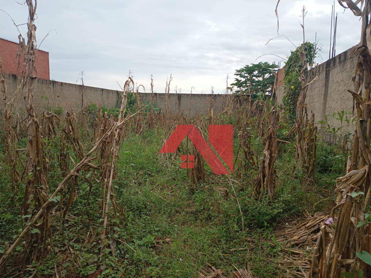 Terreno à venda, 200M2 - Foto 4